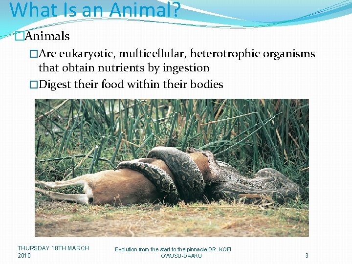 What Is an Animal? �Animals �Are eukaryotic, multicellular, heterotrophic organisms that obtain nutrients by