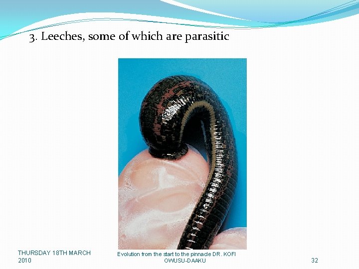 3. Leeches, some of which are parasitic THURSDAY 18 TH MARCH 2010 Evolution from