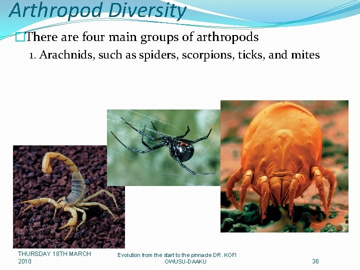 Arthropod Diversity �There are four main groups of arthropods 1. Arachnids, such as spiders,