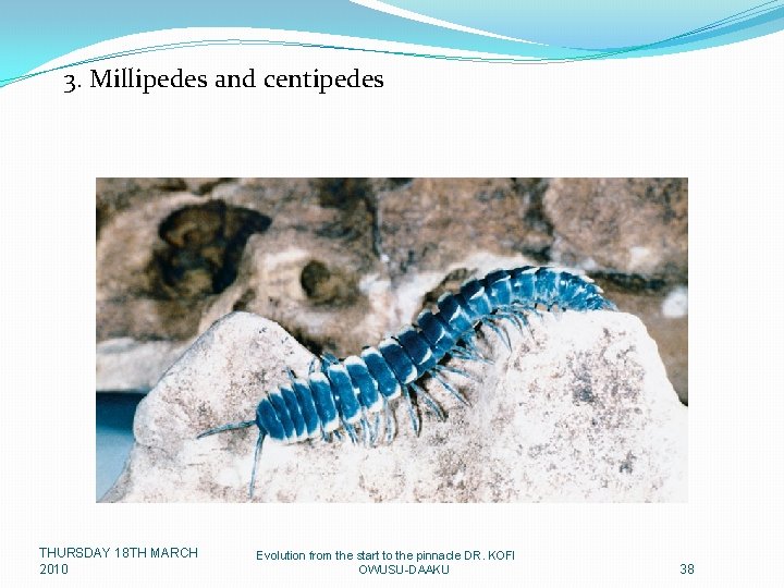 3. Millipedes and centipedes THURSDAY 18 TH MARCH 2010 Evolution from the start to