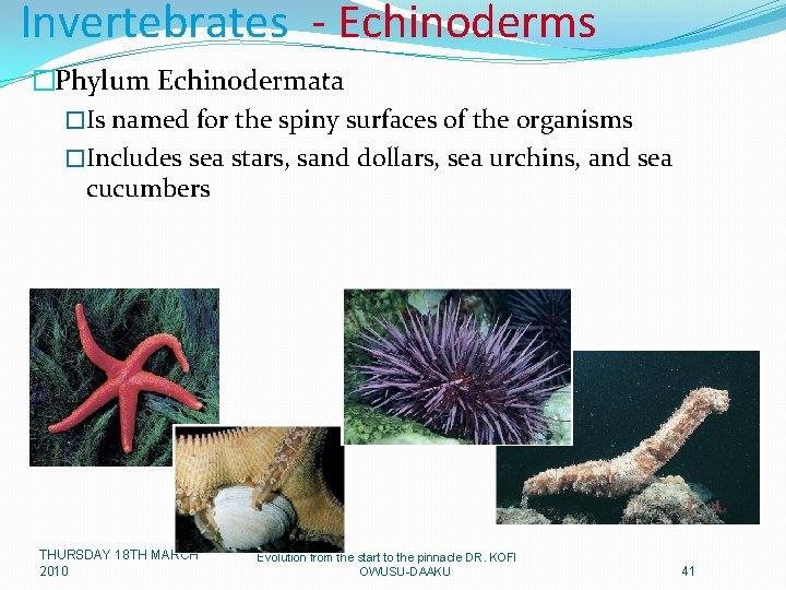 Invertebrates - Echinoderms �Phylum Echinodermata �Is named for the spiny surfaces of the organisms