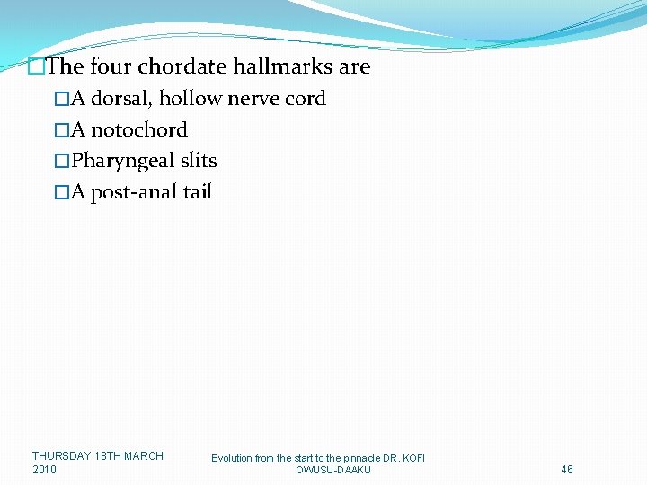 �The four chordate hallmarks are �A dorsal, hollow nerve cord �A notochord �Pharyngeal slits