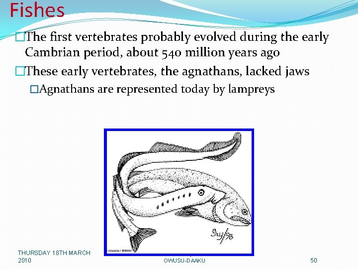 Fishes �The first vertebrates probably evolved during the early Cambrian period, about 540 million