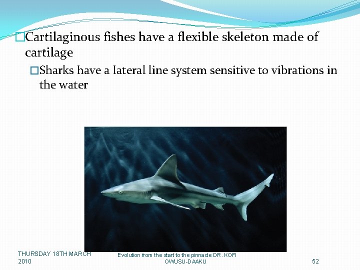 �Cartilaginous fishes have a flexible skeleton made of cartilage �Sharks have a lateral line