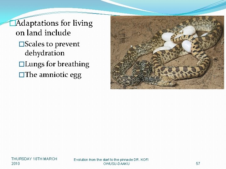 �Adaptations for living on land include �Scales to prevent dehydration �Lungs for breathing �The