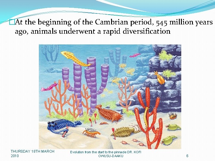 �At the beginning of the Cambrian period, 545 million years ago, animals underwent a