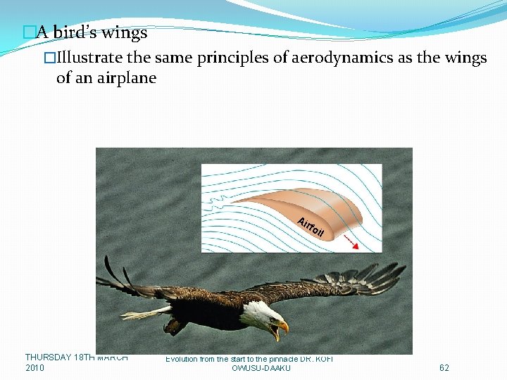 �A bird’s wings �Illustrate the same principles of aerodynamics as the wings of an