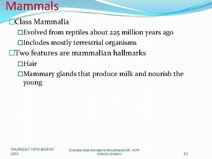 Mammals �Class Mammalia �Evolved from reptiles about 225 million years ago �Includes mostly terrestrial