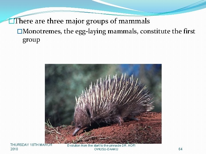 �There are three major groups of mammals �Monotremes, the egg-laying mammals, constitute the first