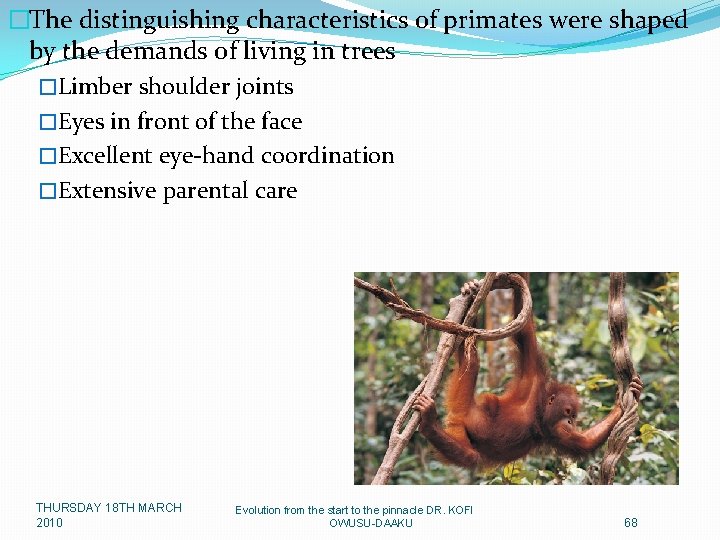 �The distinguishing characteristics of primates were shaped by the demands of living in trees