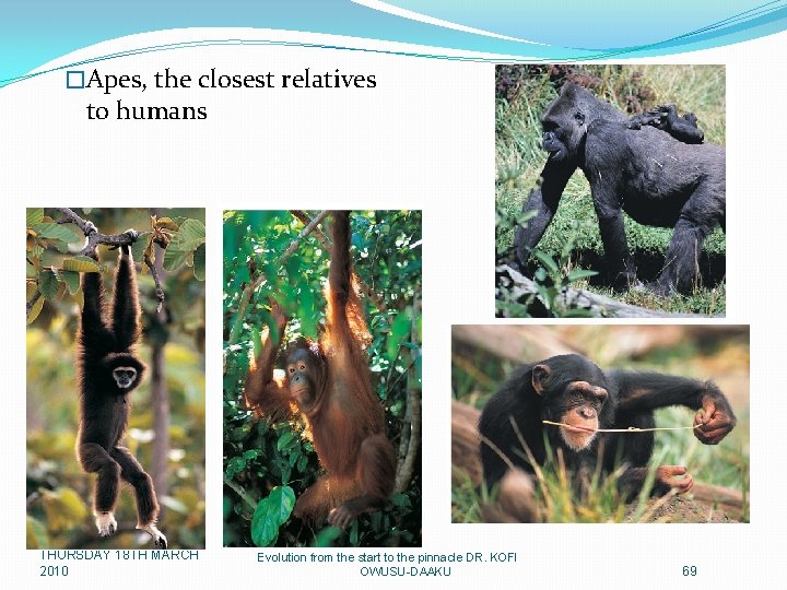 �Apes, the closest relatives to humans THURSDAY 18 TH MARCH 2010 Evolution from the