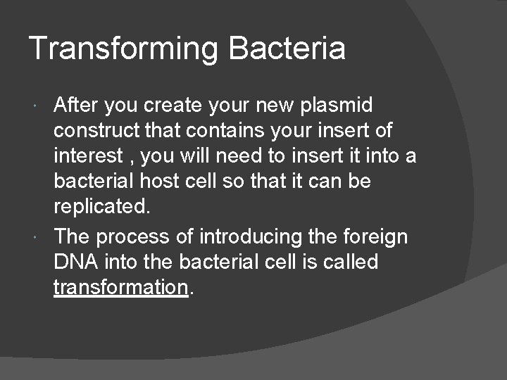 Transforming Bacteria After you create your new plasmid construct that contains your insert of