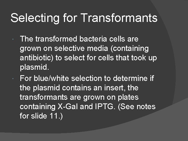 Selecting for Transformants The transformed bacteria cells are grown on selective media (containing antibiotic)