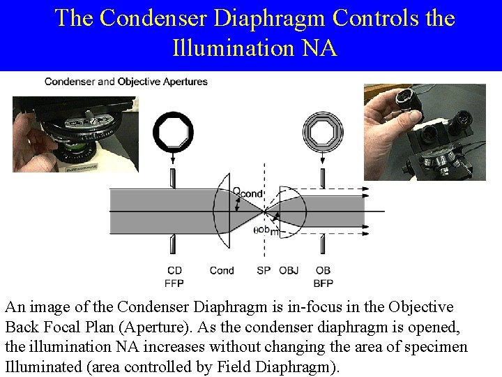 The Condenser Diaphragm Controls the Illumination NA An image of the Condenser Diaphragm is