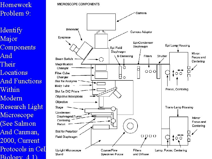 Homework Problem 9: Identify Major Components And Their Locations And Functions Within Modern Research