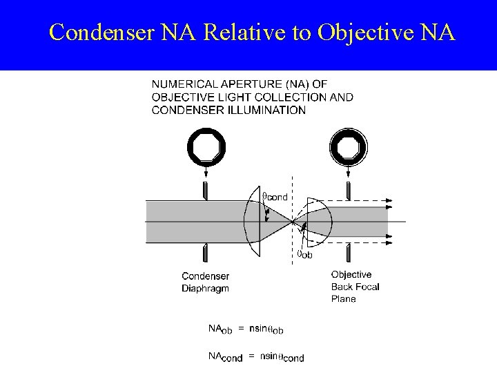 Condenser NA Relative to Objective NA 