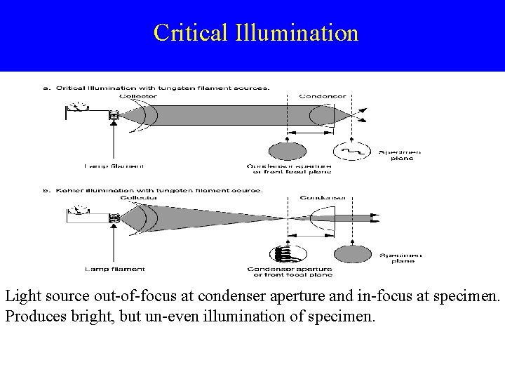 Critical Illumination Light source out-of-focus at condenser aperture and in-focus at specimen. Produces bright,