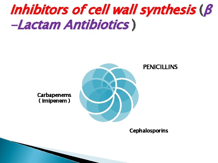 Inhibitors of cell wall synthesis (β -Lactam Antibiotics ) PENICILLINS Carbapenems ( Imipenem )
