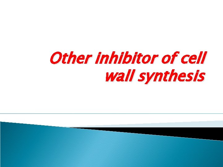 Other inhibitor of cell wall synthesis 