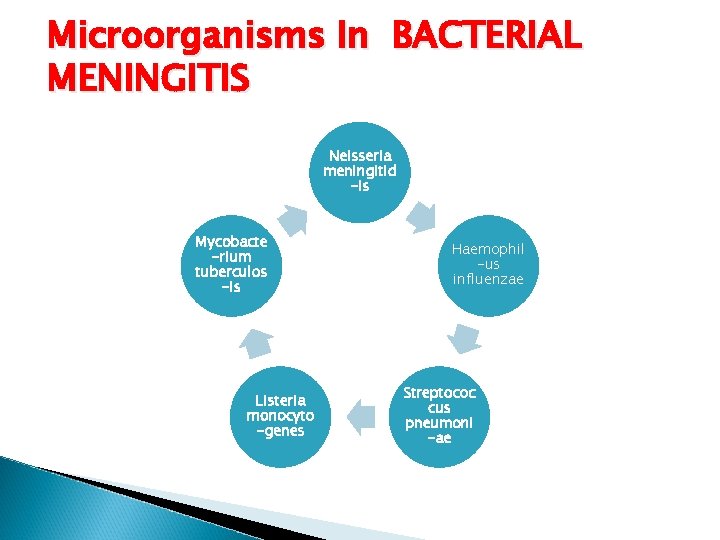 Microorganisms In BACTERIAL MENINGITIS Neisseria meningitid -is Mycobacte -rium tuberculos -is Listeria monocyto -genes