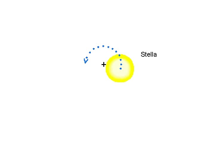 Stella 