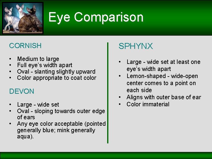 Eye Comparison CORNISH • • Medium to large Full eye’s width apart Oval -