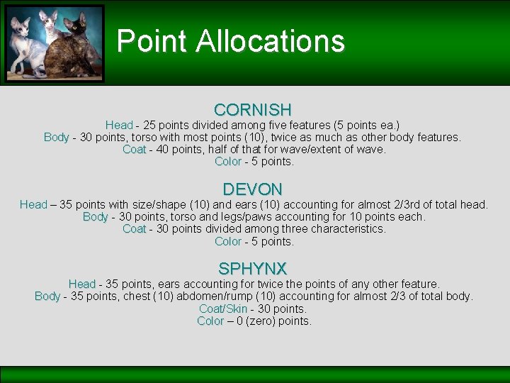 Point Allocations CORNISH Head - 25 points divided among five features (5 points ea.
