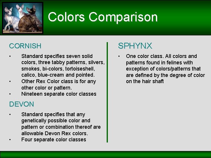 Colors Comparison CORNISH SPHYNX • • Standard specifies seven solid colors, three tabby patterns,