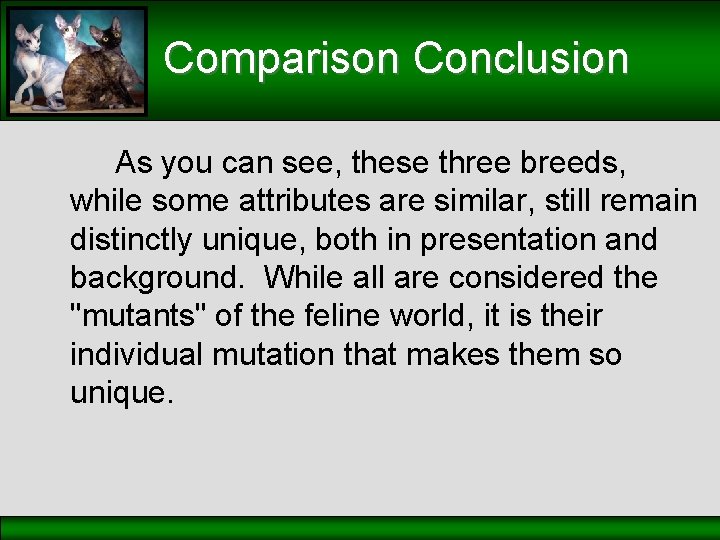 Comparison Conclusion As you can see, these three breeds, while some attributes are similar,