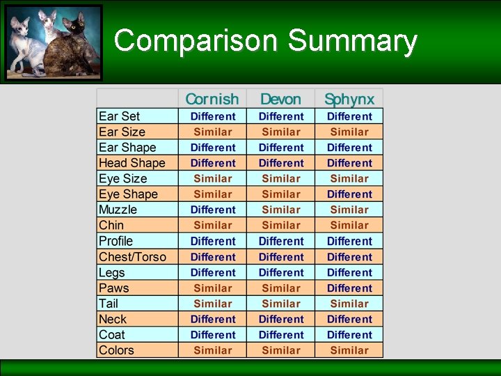 Comparison Summary 