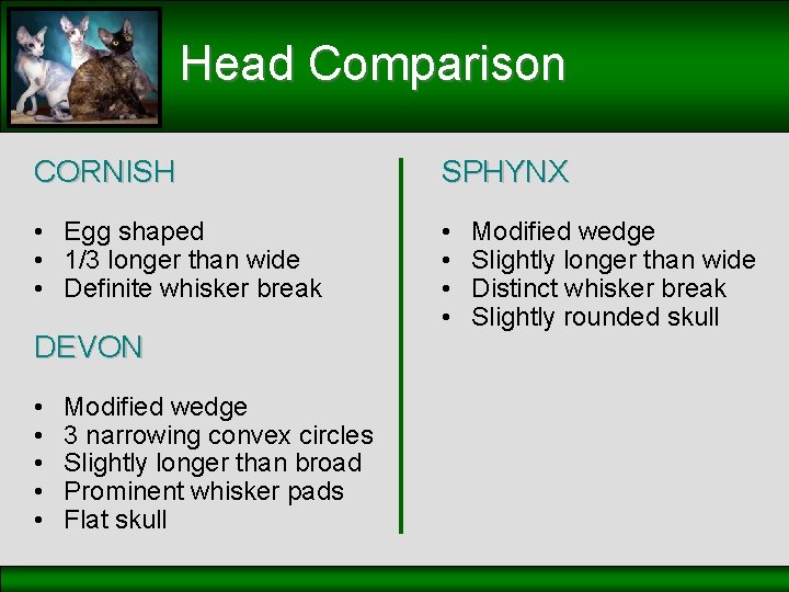 Head Comparison CORNISH SPHYNX • Egg shaped • 1/3 longer than wide • Definite