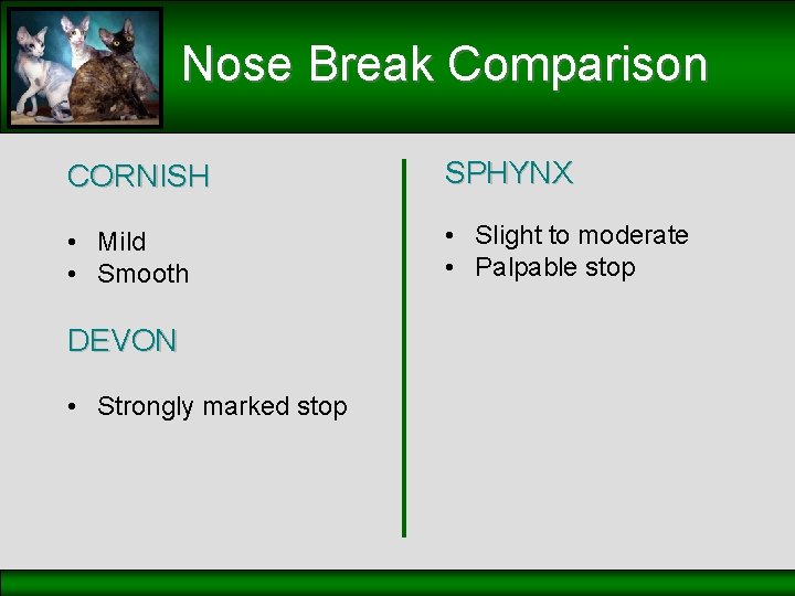 Nose Break Comparison CORNISH SPHYNX • Mild • Smooth • Slight to moderate •