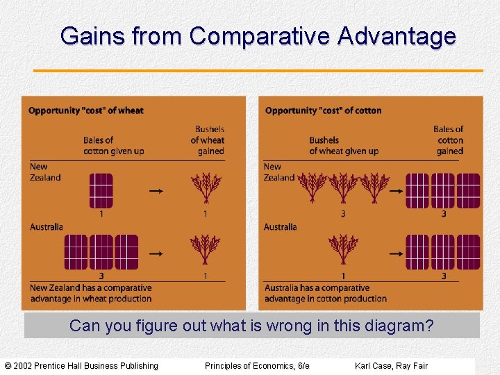 Gains from Comparative Advantage Can you figure out what is wrong in this diagram?