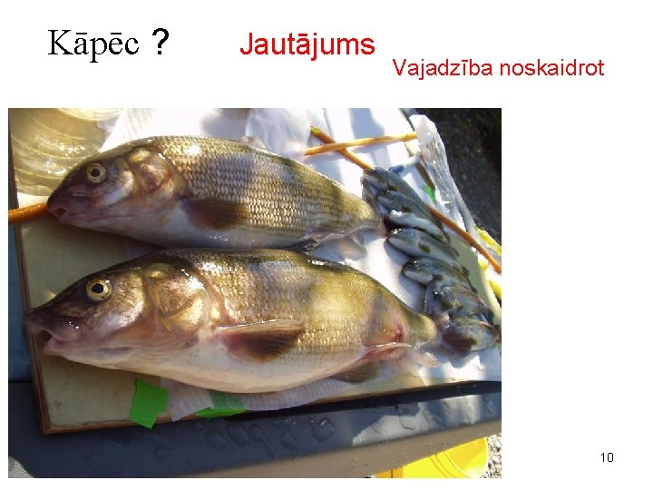 Kāpēc ? Jautājums Vajadzība noskaidrot 10 