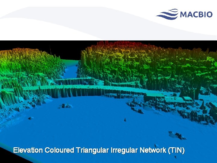 Elevation Coloured Triangular Irregular Network (TIN) Introduction to Lidar 