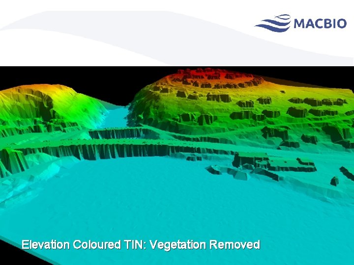 Elevation Coloured TIN: Vegetation Removed 