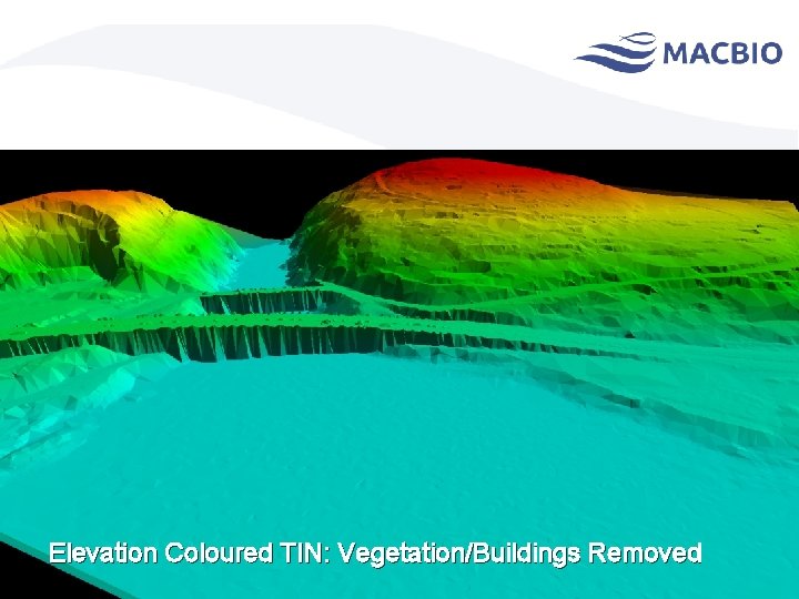 Elevation Coloured TIN: Vegetation/Buildings Removed 
