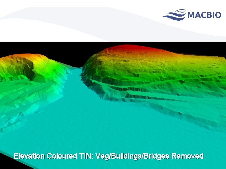 Elevation Coloured TIN: Veg/Buildings/Bridges Removed 