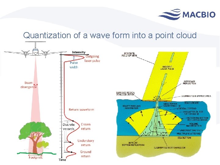 Quantization of a wave form into a point cloud 