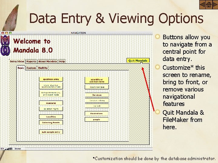 Data Entry & Viewing Options Buttons allow you to navigate from a central point
