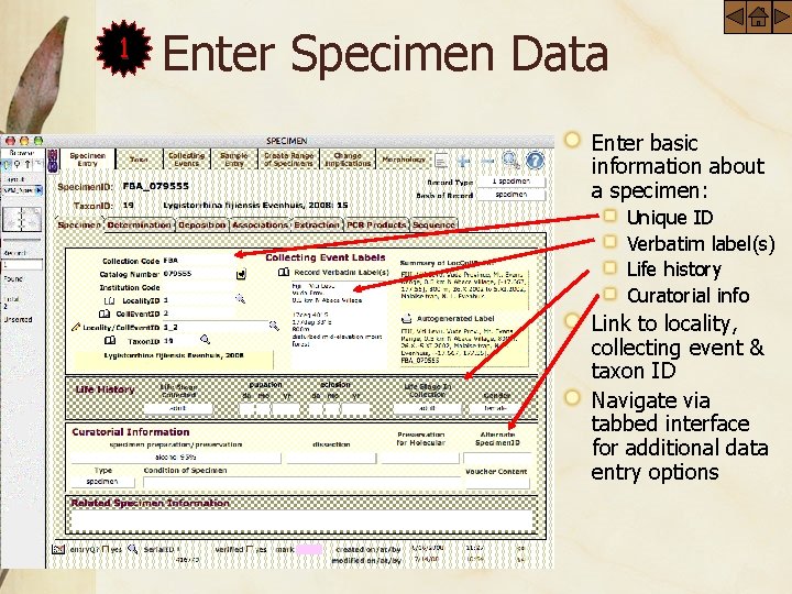 1 Enter Specimen Data Enter basic information about a specimen: Unique ID Verbatim label(s)