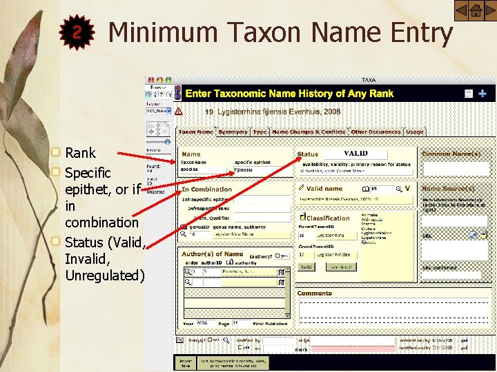 2 Minimum Taxon Name Entry Rank Specific epithet, or if in combination Status (Valid,