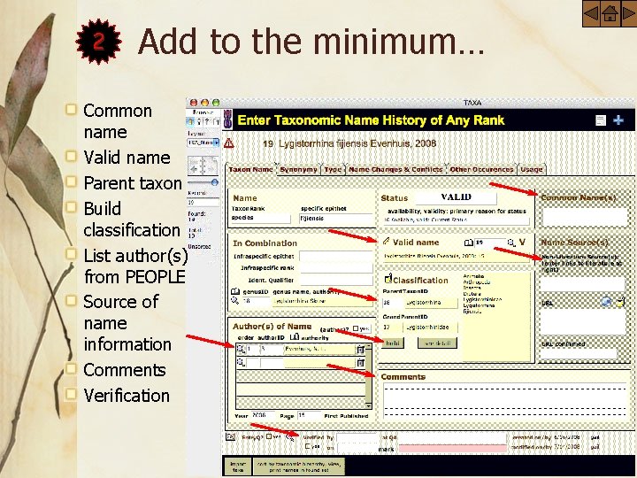 2 Add to the minimum… Common name Valid name Parent taxon Build classification List