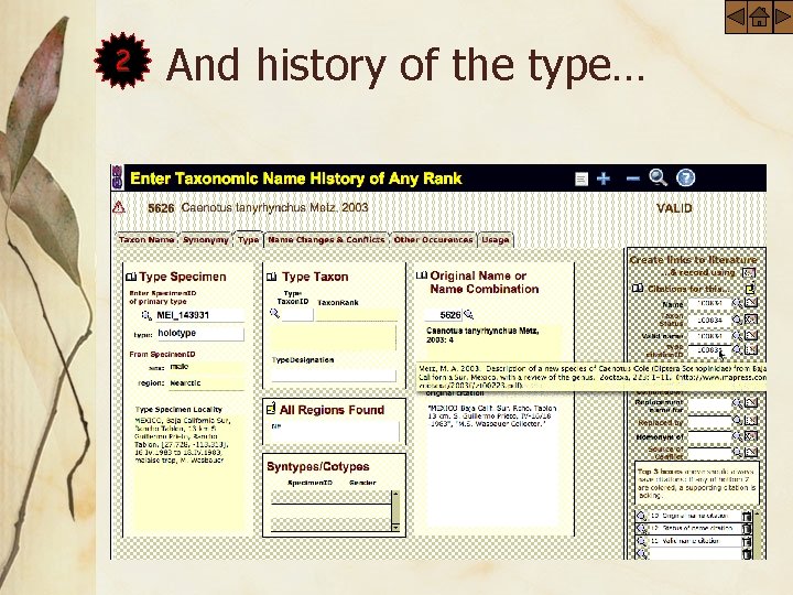 2 And history of the type… 