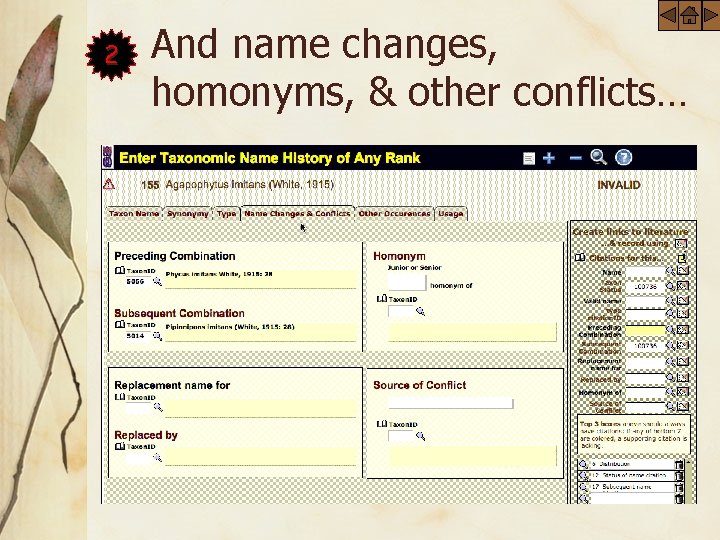 2 And name changes, homonyms, & other conflicts… 