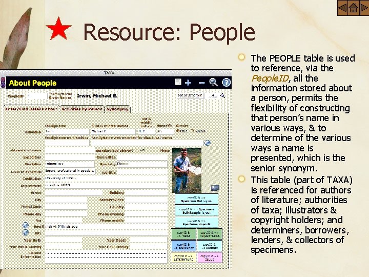 Resource: People The PEOPLE table is used to reference, via the People. ID, all