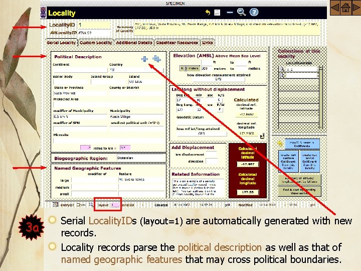 Serial Locality 3 a Serial Locality. IDs (layout=1) are automatically generated with new records.