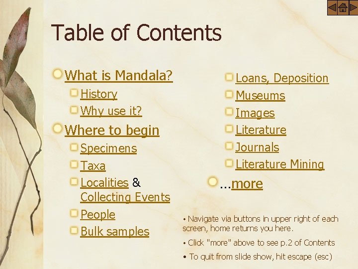 Table of Contents What is Mandala? History Why use it? Where to begin Specimens
