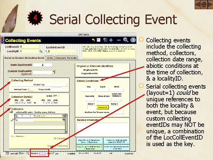 4 Serial Collecting Event Collecting events include the collecting method, collectors, collection date range,