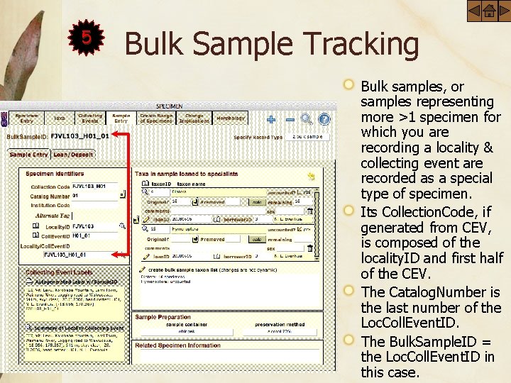 5 Bulk Sample Tracking Bulk samples, or samples representing more >1 specimen for which